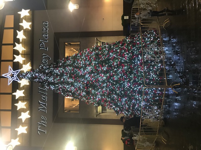 Mall at Bay Plaza Christmas tree