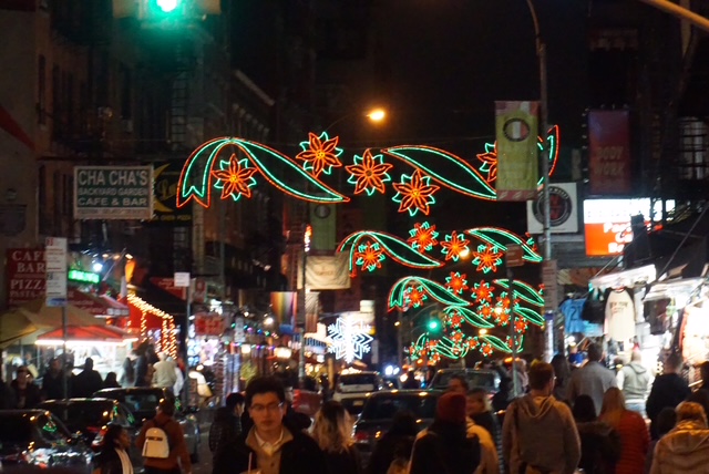 Holiday street lighting with poinsettia decorations